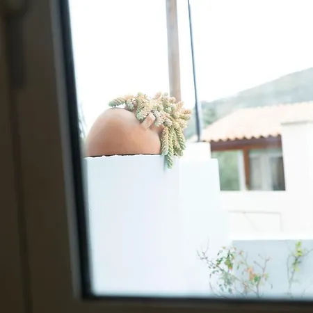 Zorbas House Héraklion